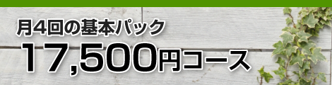 月4回の基本パック 17500円