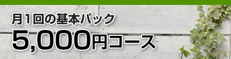 月1回の基本パック 5000円