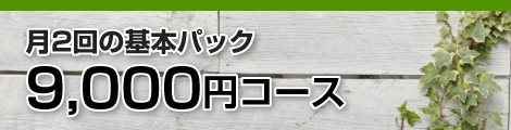 月2回の基本パック 9000円