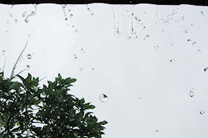 雨漏り点検